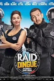 Çılgın Baskın